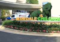 ambulance in front of hospital entrance with topiary elephants