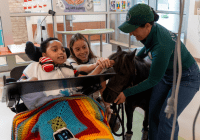 child in a wheelchair petting a horse