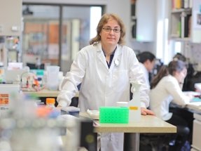 Image for news article Investment in First-Ever NY Pediatric Neuroscience Research Partnership Garners 2 NIH Grants