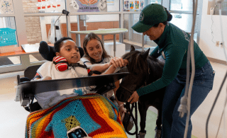 child in a wheelchair petting a horse