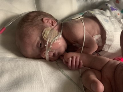 premature baby holds finger