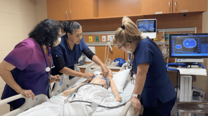 providers looking at mannequin